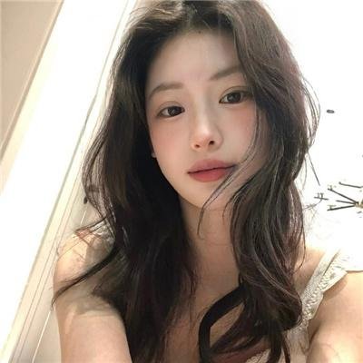 大象家族